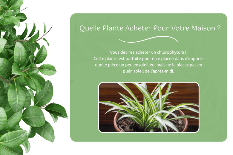 meilleures idees campagnes marketing ete test perso 2