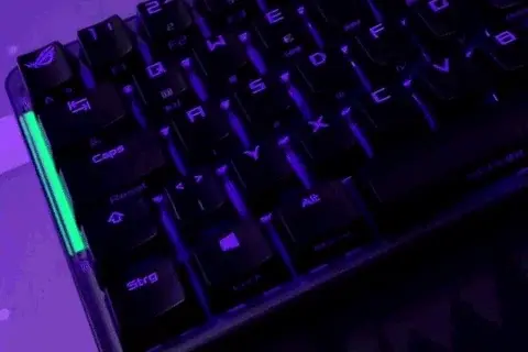 giphy 1