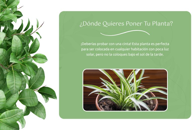 campanas marketing verano test 2