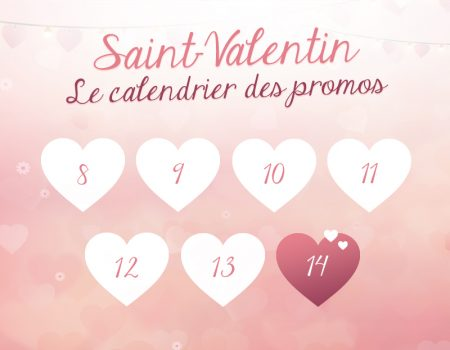 calendar fr 450x350