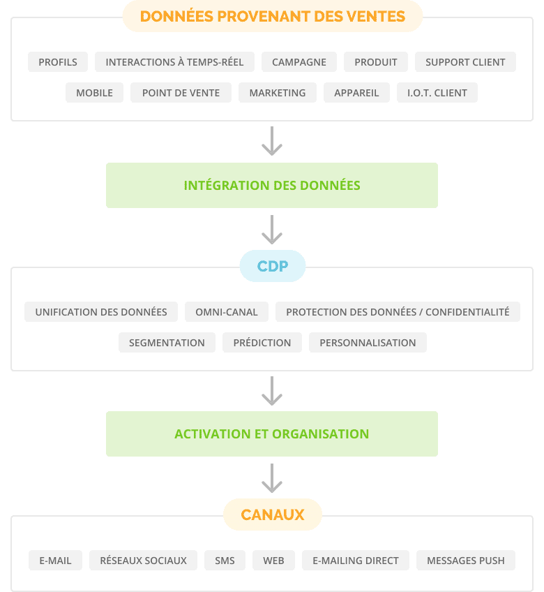 cdp marketing graph2 fr