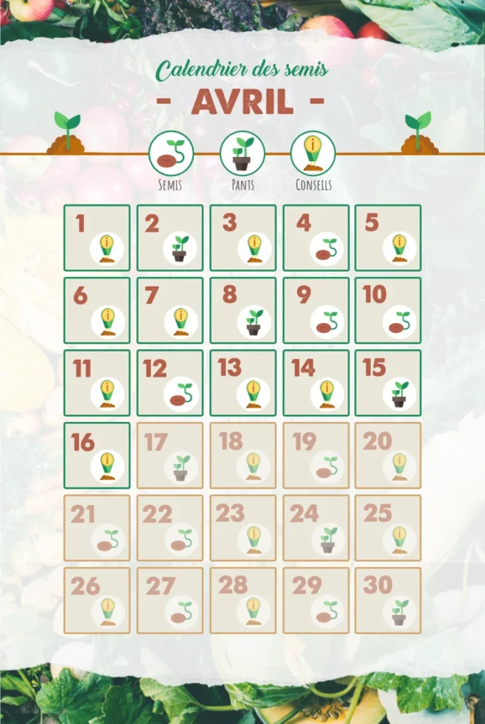 calendrier semis conseil campagne marketing 687x1024