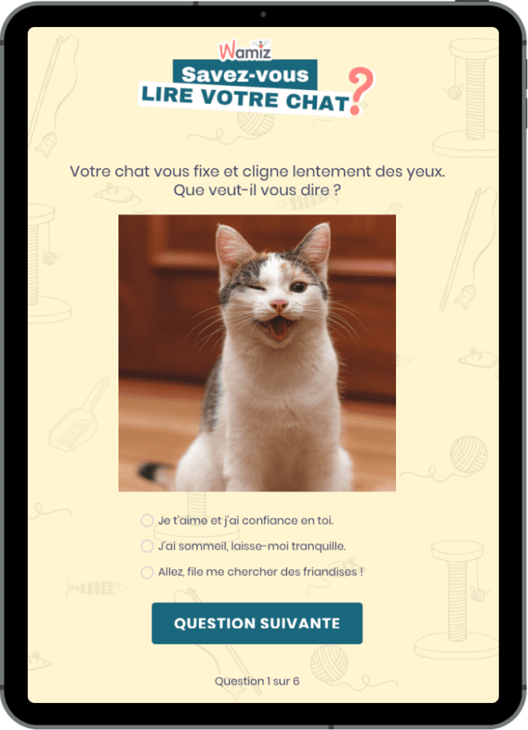 ipad quiz wamiz campagnes marketing interactives avril 740x1024