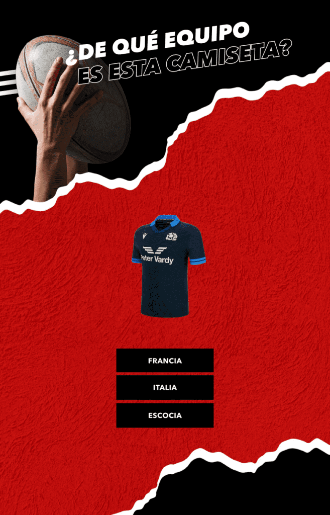 mundial de rugby 2023 quiz 657x1024