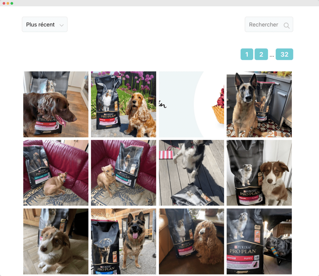 dogofriends2 1024x886