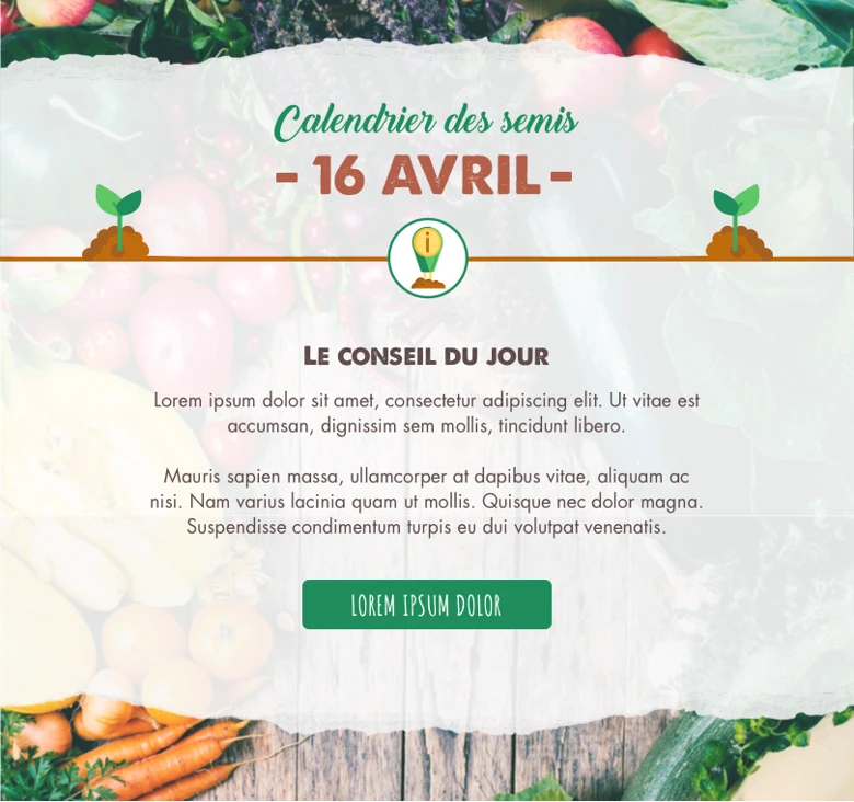 calendrier semis conseil campagne