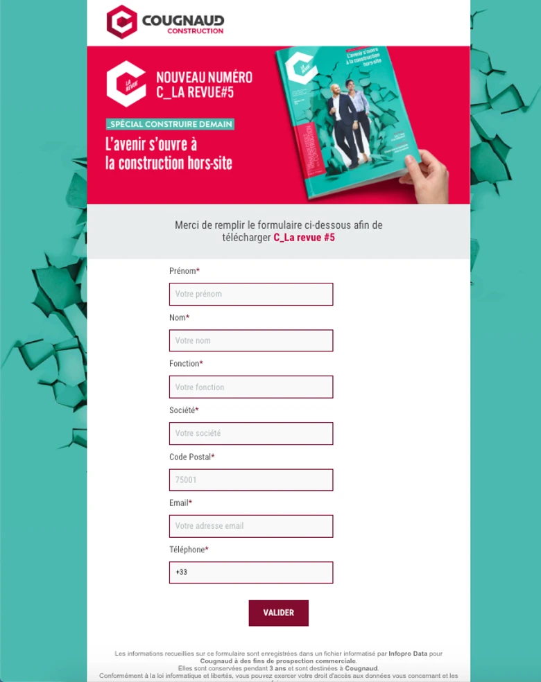 campaign marketing b2b infoprodigital