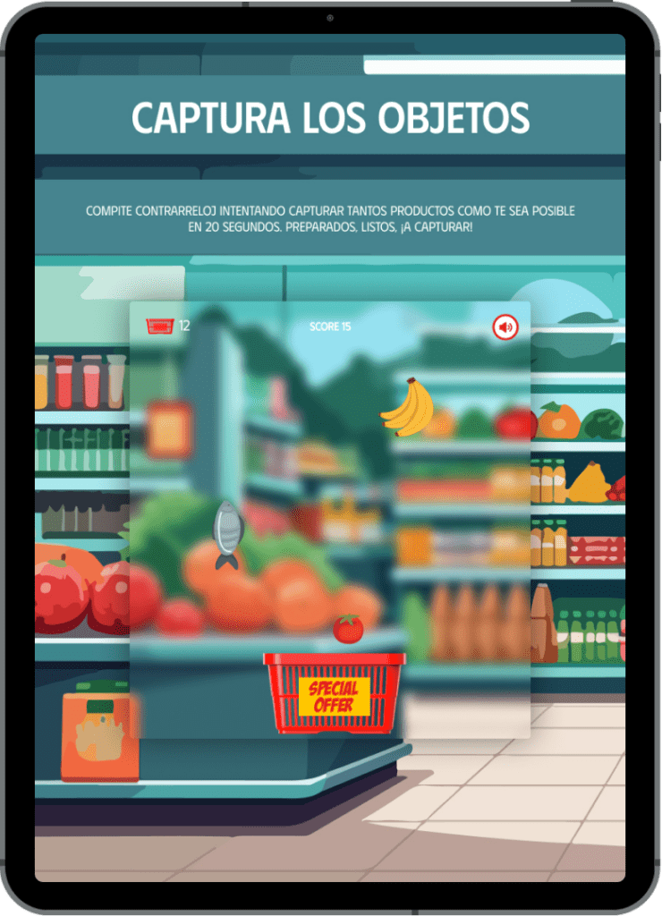 ipad catcher 1 740x1024