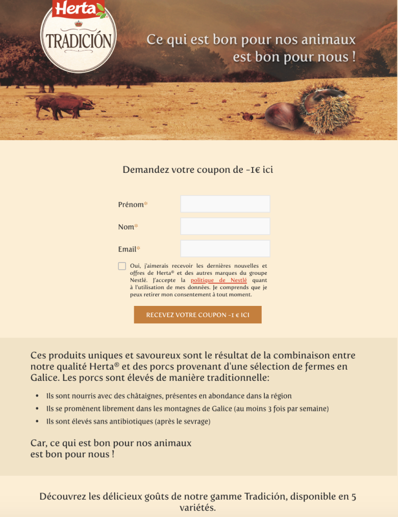 3 estrategias para garantizar el exito de tu campana de marketing