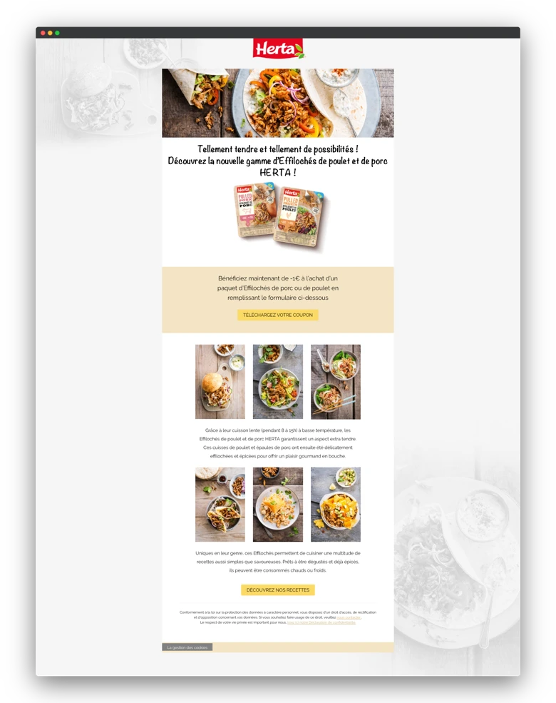 best marketing campaigns of the month december herta