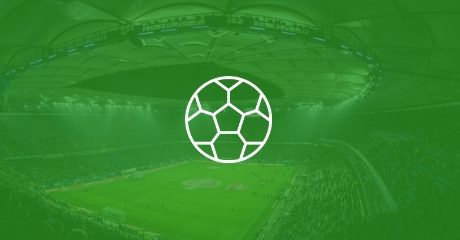 Football clubs 2.0: how clubs animate, qualify and monetise their fan communities