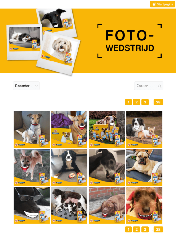 Qualifio-photo-editor-example-1