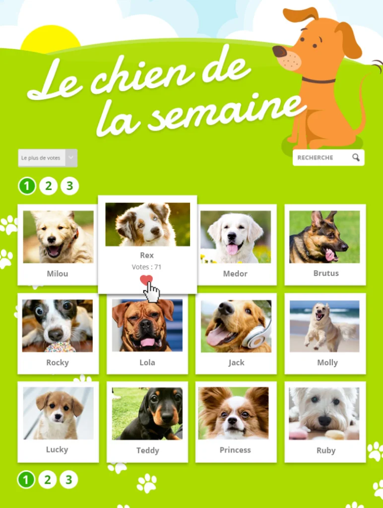 Nouvelles fonctionnalités : Variables personnalisées