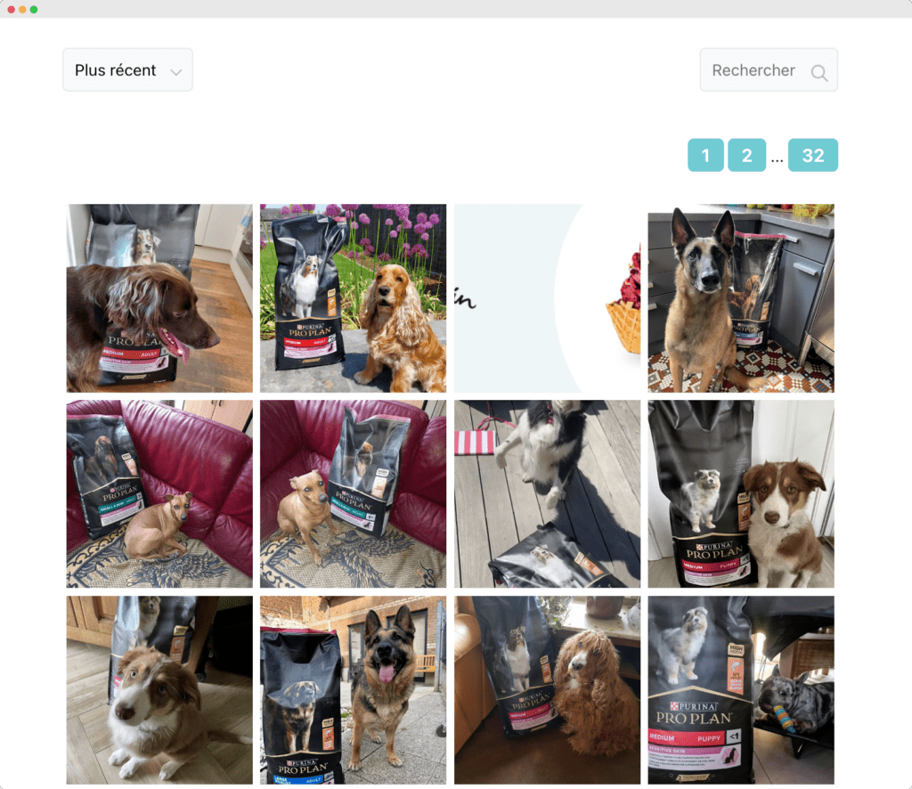 campanas-de-marketing-interactivo-concurso-de-fotos-dogofriends-2