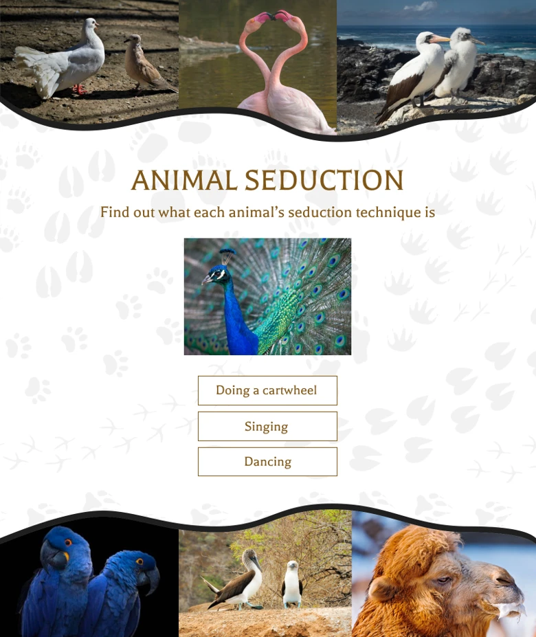 best-easter-campaign-quiz