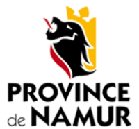 El puzzle peliculero de la Provincia de Namur