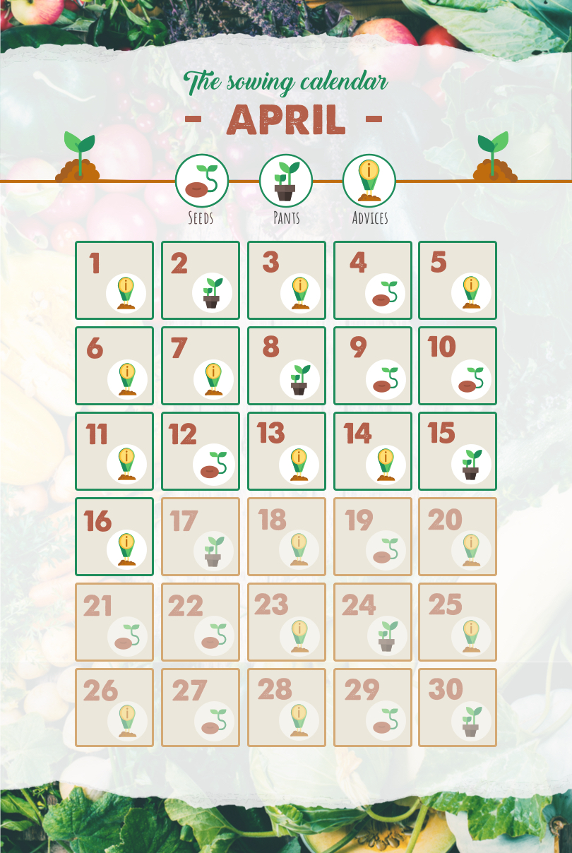 sowing-calendar-spring
